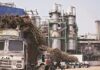 Sugar Firms Stare at Losses, With Estimate of Record Output, After 2 Years
