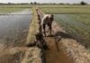 Chasing Receding Water Tables: How Indian Farmers Are Digging Themselves Into A Deeper Hole