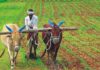 Jaitley Calls For More Centre-State Cooperation In Farm sector