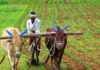 Farmers Can Expect Another ‘Good News’ In Coming Days: MoS Agri