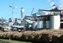 Odisha: Nayagarh sugar mill’s future remains uncertain