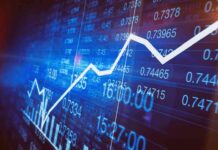 2019ના વર્ષ દરમિયાન ક્યાં IPOની રહી બોલબાલા