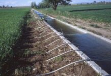 UP government plans to promote drip irrigation to all villages in state