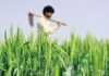 Production Trends Show India May Not Remain A Surplus Producer For Long