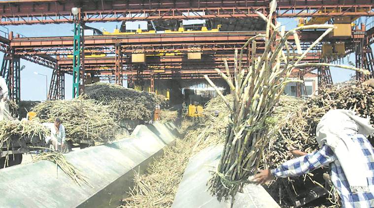 sugar industry in india