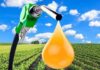 Fuel retailers welcome government decision to extend biodiesel blender’s tax credit