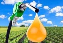 राजपुताना बायोडिझेलच्या उपकंपनीला मेरठ प्लांटमध्ये बायोडिझेल उत्पादन वाढवण्यास मान्यता