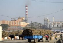 Maharashtra: 13 sugar mills paid 100 per cent FRP to cane growers