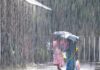 Yellow Alert Declared In 5 Kerala Districts As Met Dept Predicts Heavy Rains