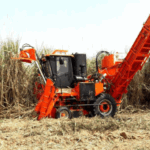 બિહાર: હસનપુર શુગર મિલ વિસ્તારમાં શેરડી કાપનારા મશીનોનો ઉપયોગ કરીને શેરડી કાપવામાં આવશે.