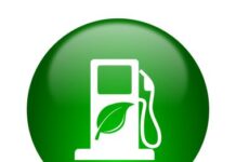 भारत के जैव ईंधन को बढ़ावा देने पर ध्यान केन्द्रित, नितिन गडकरी ने ब्राजील में भारतीय प्रवासियों से बातचीत की