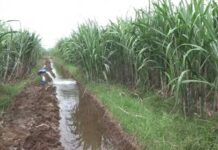 Commerce Ministry Plans Workshops In Different States To Implement Agri-Export Policy