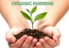 To Promote Organic Farming, Goa Sets Up 500 Clusters