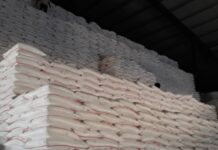 Indonesia absorbs 60,000 tons of farmers’ sugar to stabilize prices Representational image