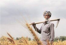 बजट में छोटे किसानों को नकदी समर्थन, असंगठित क्षेत्र को पेंशन, मध्यम वर्ग को कर छूट