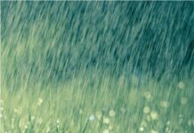 अगस्त, सितंबर में मानसून सामान्य रहने की संभावना: IMD