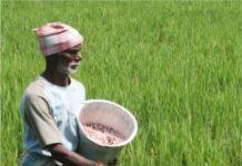 Debt-ridden farmer commits suicide