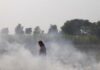 Air Pollution From Stubble Burning Costing India USD 30 Billion Annually: Study
