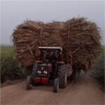 સમાજહિત સંરક્ષણ સમિતિની અકસ્માતો અટકાવવા માટે ઓવરલોડેડ શેરડીના ટ્રકો પર પ્રતિબંધ મૂકવાની માંગ