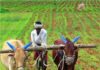 Maharashtra government mulls to roll out group farming scheme soon