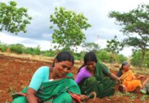 कृषी सन्मान निधी योजनेचा फायदा देशाच्या सर्व शेतक-यांना