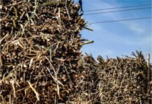 इथेनॉल धोरणामुळे एफआरपीची थकबाकी कमी होण्याची आशा