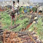 कोल्हापूर : ऊसतोडणी, वीटभट्टी मजुरांच्या मुलांसाठी ‘उमेद’ची कार्यशाळा