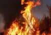 Karnataka: Fire destroys 30 acres of sugarcane crop in Bhiradi village