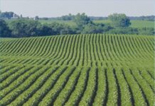 कृषि निर्यात को बढ़ाने के लिये परिवहन योजना तैयार, भाड़ा लागत का होगा हस्तांतरण