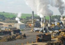 त्रिवेणी चीनी मिल द्वारा पिछलें सीजन का शतप्रतिशत गन्ना भुगतान…