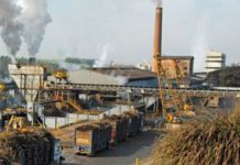 सोलापूर : दामाजी कारखान्याकडून मंगळवेढा तालुक्यात १५ किलोमीटर रस्त्यांची दुरुस्ती