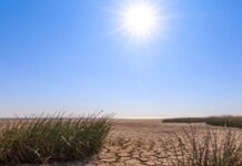 મહારાષ્ટ્રના દુષ્કાળ ગ્રસ્ત વિસ્તારોમાં સક્રિય બન્યું ચોમાસુ