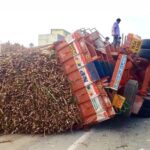 मध्य प्रदेश : हाईवे पर गन्ना ले जा रही ट्रैक्टर ट्रॉलियां पलटीं, 11 घंटे तक ट्रैफिक जाम