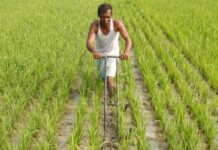 खरीफ की बुआई में वृद्धि से खाद्य मुद्रास्फीति पर दबाव कम होगा: रिपोर्ट