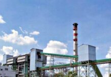 Delta Sugar posts 27% rise in H1 2025 net profit Sugar Industry News