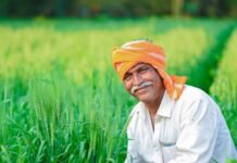 Official urges farmers to ensure sugarcane survey of their fields