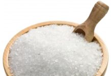 Sugar stocks trade in green; KM Sugar, Ponni Sugar lead the pack
