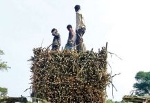 Sugar Industry News