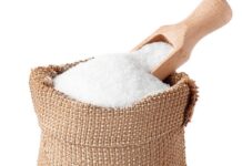 राष्ट्रपति इरफ़ान अली ने गुयाना के चीनी उद्योग के प्रति भारत की प्रतिबद्धता का स्वागत किया