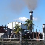 Sugar Industry News