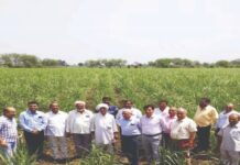 ખાંડ ઉદ્યોગના કામદારોની માંગણીઓ ધ્યાનમાં લેવા યુપી સરકારે બનાવી પેનલ