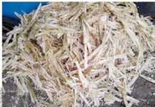 राजस्थान : मेराकी पैक ने गन्ने की खोई से बनी प्रीमियम इको-फ्रेंडली टेबलवेयर रेंज लॉन्च की