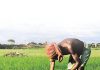 Sugar Industry News