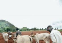 नई सरकार में कृषि मंत्रालय पर Janata Dal (United) और Janata Dal (Secular) की नजर: मीडिया रिपोर्ट