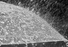 Southwest monsoon advances in some parts of central Arabian Sea, Karnataka: IMD