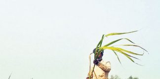 Sugar Industry News