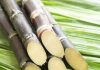 Sugar Industry News