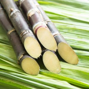 Sugar Industry News