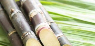 Sugar Industry News