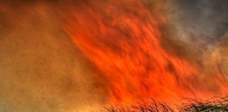 Fire : Sugar Industry News